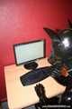 PC Dog