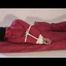 03:30 Min. video with Jessy tied in a shiny red rainsuit freeing herself