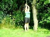 On a tree 2/3
