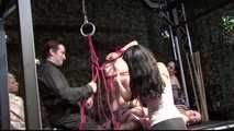 BoundCon XII - Custom Photo Shooting - Saturday Night Special - Final Hour