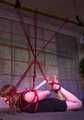 Hogtied Loredana 