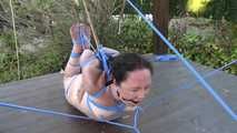 Hogtie in Blue...