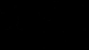 The High Heels Foot Slave Licking Marathon