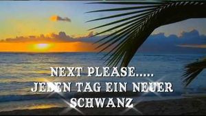 NEXT PLEASE .... EVERY DAY A NEW TAIL