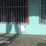 050023 Roxy Dodges The Workers And Takes A Pee In The Street