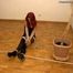 Guest Oceane 004