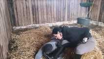 This is what happens to the groom when he disobeys