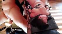 Have Ceira to visit and she may test the new fucking machine