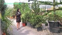 030016 Roxy Peeing In A Garden Centre