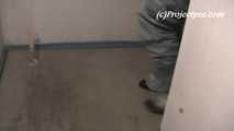 056026 Kasha Cannot Find The Ladies And So Pees In A Cupboard