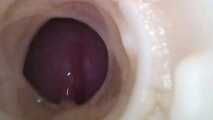 CUCKOLD LICK THE CUM