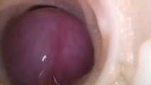 CUCKOLD ITS MY LIFE