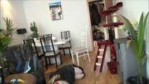 Melody - robbery in the apartment part 1 of 6