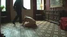 Dog training shool - 01