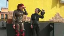 LATEX MILKING