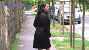 050012 Roxy Pees In The Residential Street