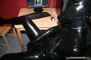 PC Dog