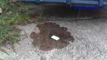 069017 Tiffany Pees Behind A Parked Trailer