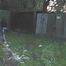 078037 Rachel Evans Takes A Desperate Pee On Her Way Home