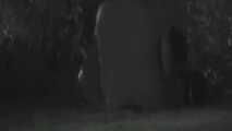 VOYEURFUN 1864