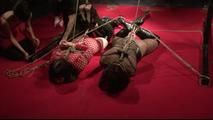 BoundCon XI - Custom Photo Shoot 5 - Complete Shooting