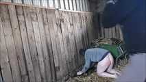 This is what happens to the groom when he disobeys