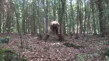 Ayu an den Baum gefesselt 2/2