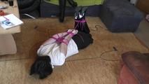 Susan mit pinken Seilen gefesselt 2/2
