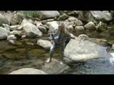Sophie enjoying the water and weather on a river wearing supersexy grey sauna pvc rainwear (Video)