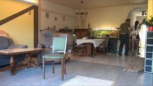 Zora - Das gemietete Model Teil 4 von 8