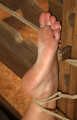 Ballgagged topless barefoot Albina Rose, bound to the rack, is tickled by the guy