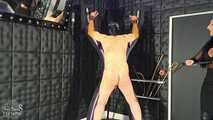 Whips for the Slavesass