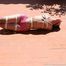 Fayth - Supertight Hogtie Under The Spanish Sun (Pictures)