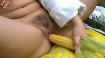 2 FICKERS AND 1 CORN