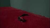 1010 Amber in Spin the Bottle forfeit Part 1