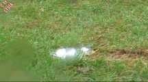 THICK EGGS - THE EASTER FILM
