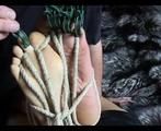AB-255 Biggie - Extrem Hogtie (Part 1)