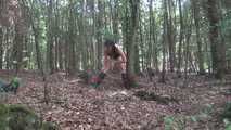 Ayu an den Baum gefesselt 2/2