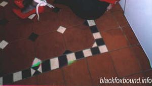 Viewer Promo Gallery 4