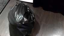 [From archive] Stella - ball taped and packed into the trash bag