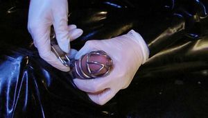 Lady Letizia - Locked up after Milking