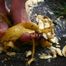 Banana crushing with Jill