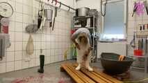 Today I clean the #slaughterroom #dirtyrubberapron