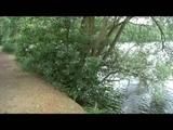 Alina walking on a lake wearing sexy shiny nylon shorts under her jeans and a down jacket (Video)