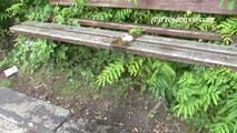 080003 Nikki Pees From A Bench