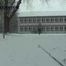 057037 Kasha Pees During A Blizzard