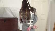 Always In Trouble 8 - Encore - Part Three - Ziva Fey