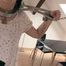 Play with Ramona 1
