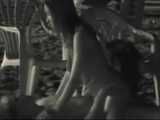 HIDDEN CAM AND FUCKING COUPLES