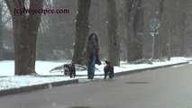020166 Kathy Gets Caught Taking An Emergency Pee In The Snow